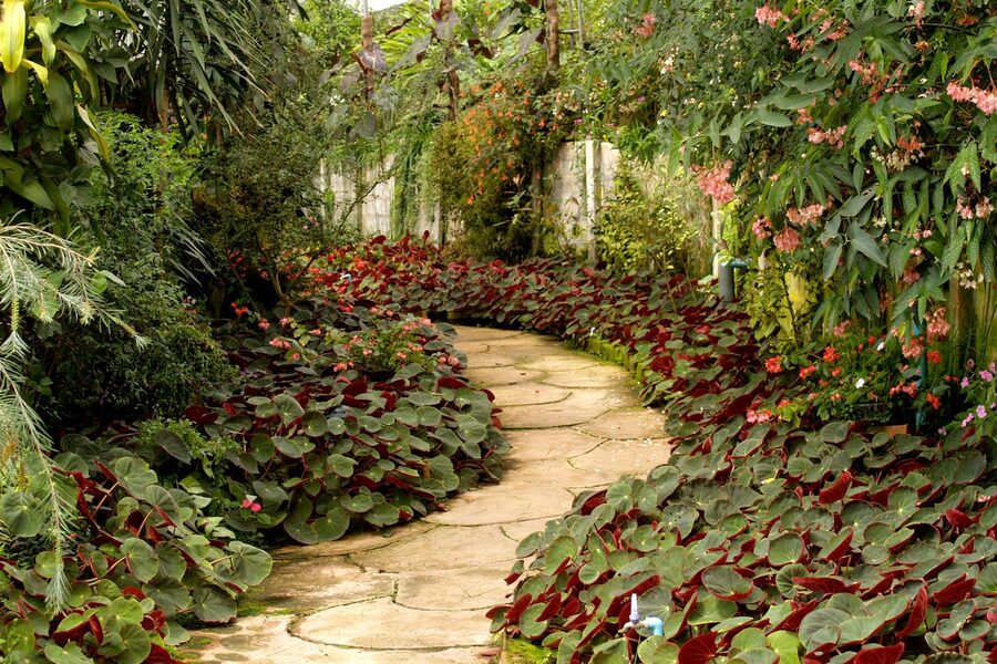 Création Jardin & Aménagement à Rognes