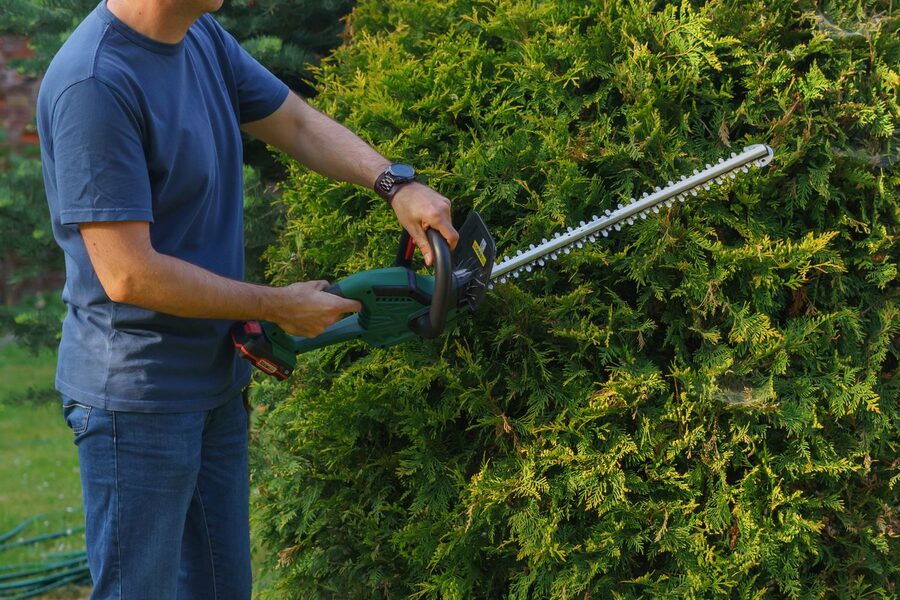Taille Haies & Arbres à Cabrières