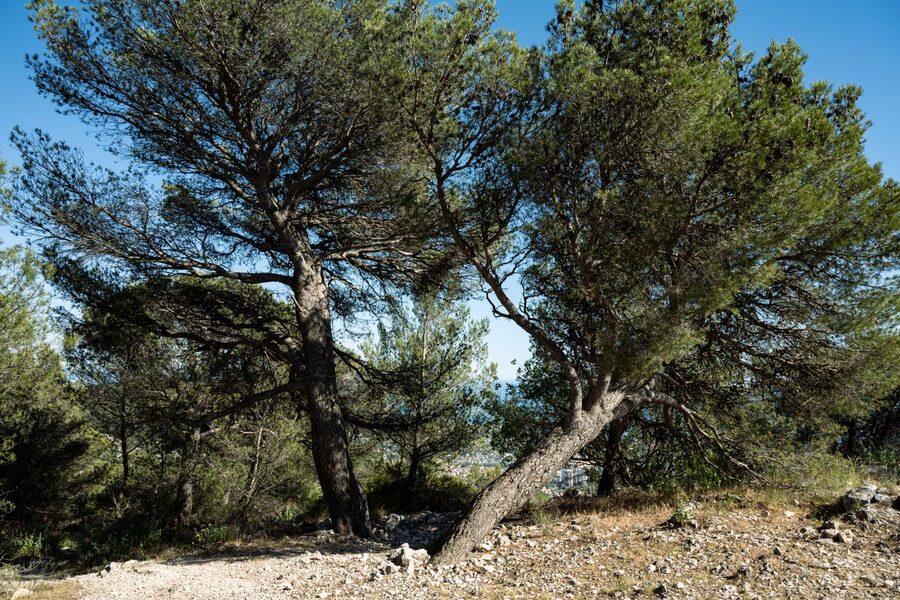 Vue de Mimet en Provence