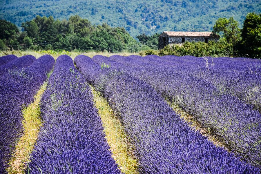Vue de Peynier en Provence
