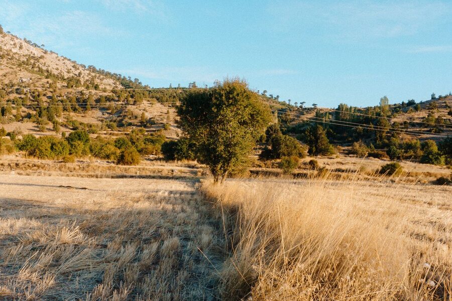 Vue de Saint-Cannat en Provence