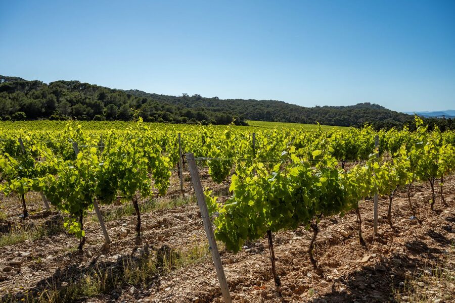 Vue de Trets en Provence
